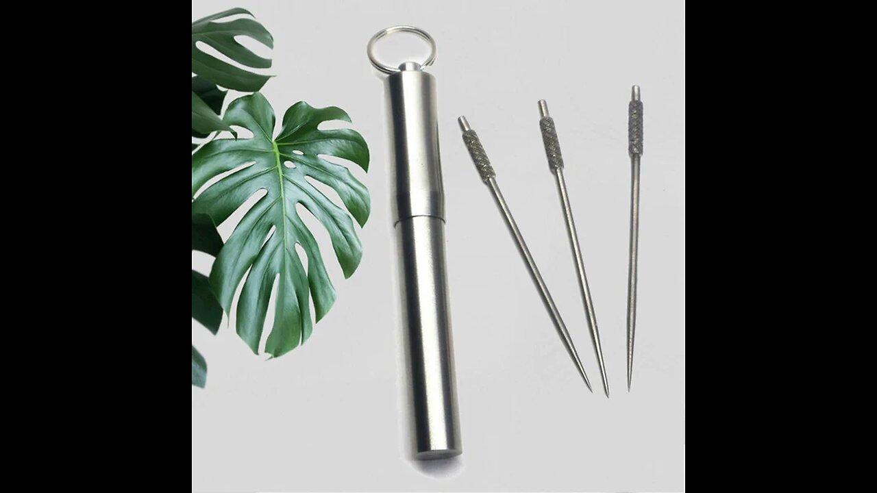 Portable Stainless Steel Waterproof Toothpick Holder & Three Reusable Toothpick Set