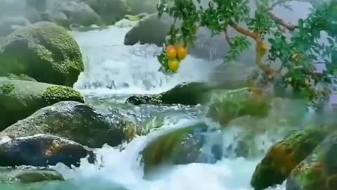 Natural scenery with soothing music