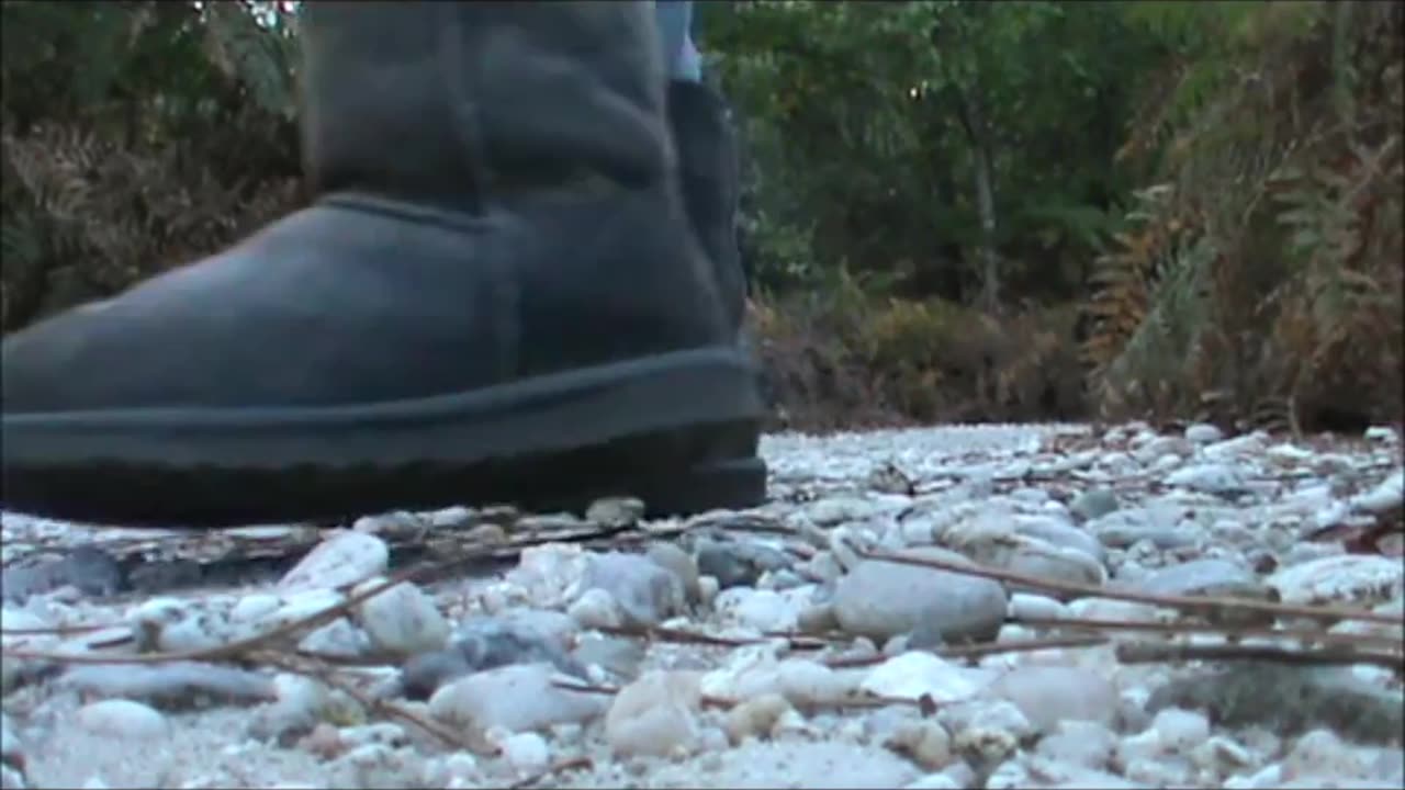 Uggs Boots in the Woods