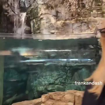 Everything is a scam: “This is your reminder that Bass Pro Shops doesn't pay federal taxes...