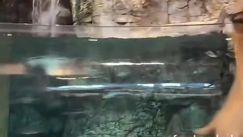 Everything is a scam: “This is your reminder that Bass Pro Shops doesn't pay federal taxes...