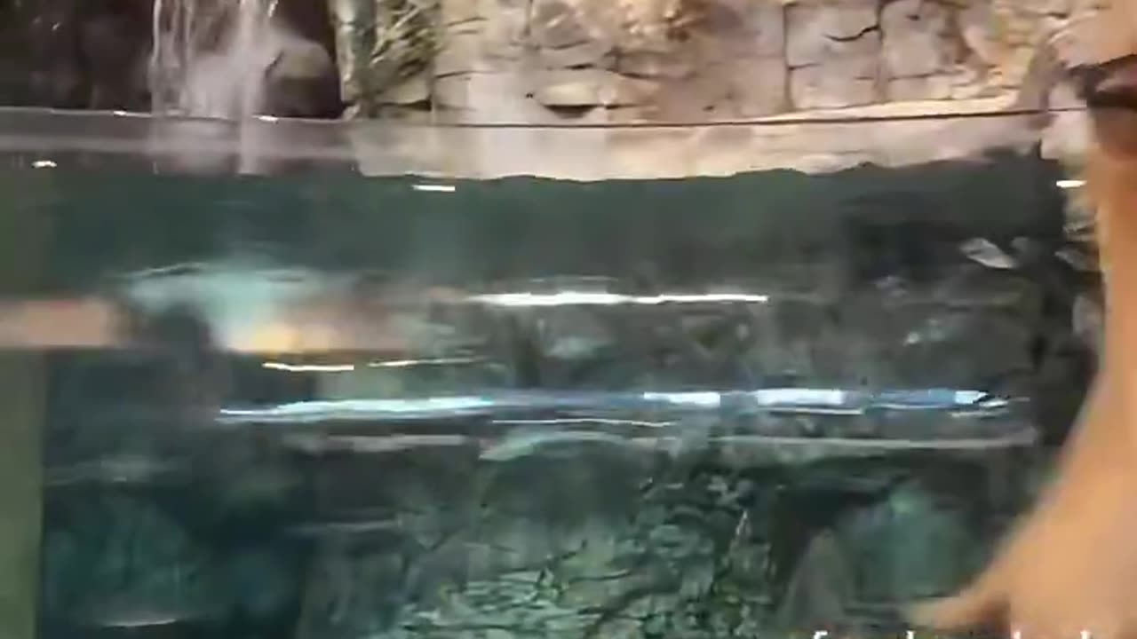Everything is a scam: “This is your reminder that Bass Pro Shops doesn't pay federal taxes...