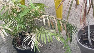 😂🌱 You Won't Believe These Plants! | FunFM