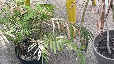 😂🌱 You Won't Believe These Plants! | FunFM