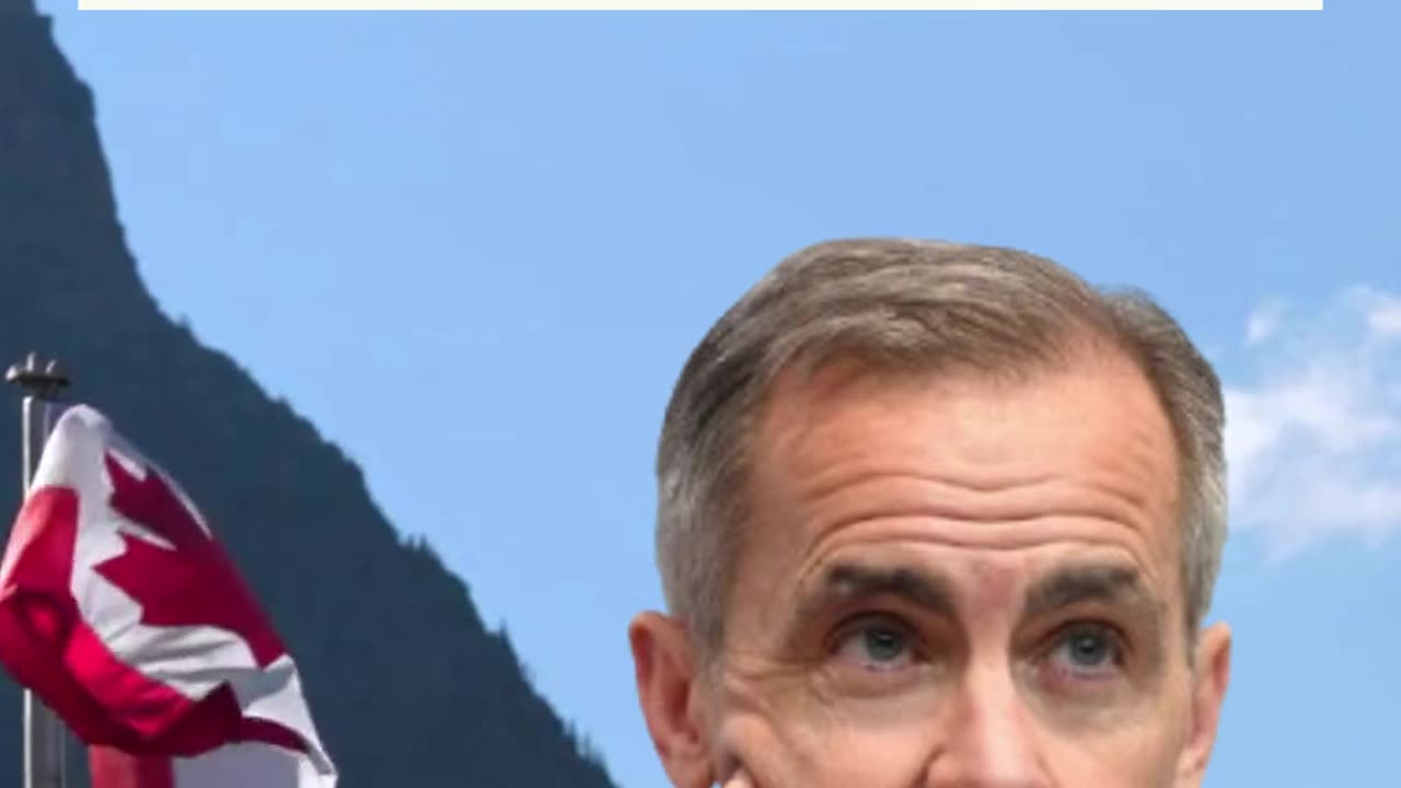 Carney vs. Trump: is PM Carney doing a good job fighting Trump's Tariffs?