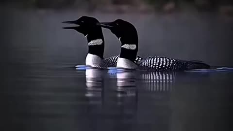 #explore
