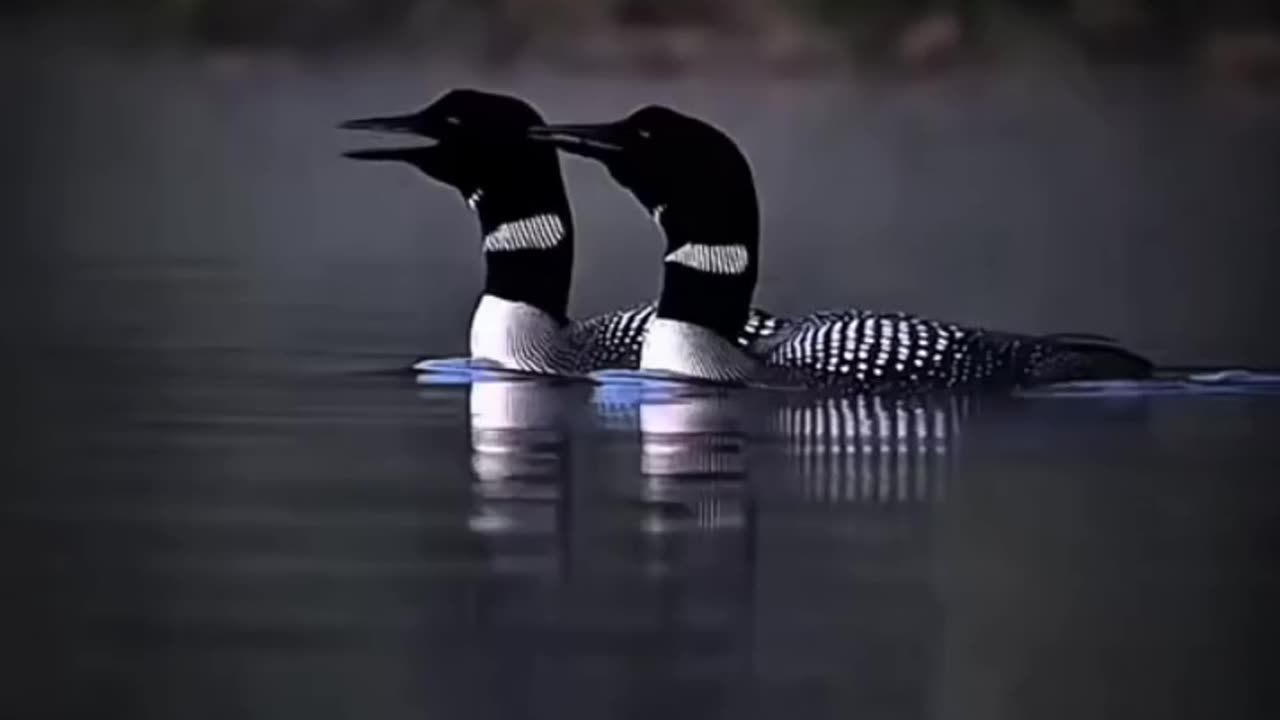 #explore