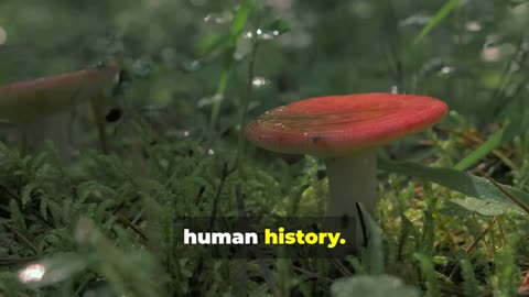 Did Magic Mushrooms Shape Human Evolution?