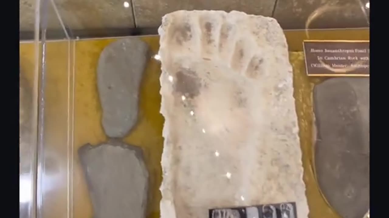 No Scientist Can Explain These Discoveries!