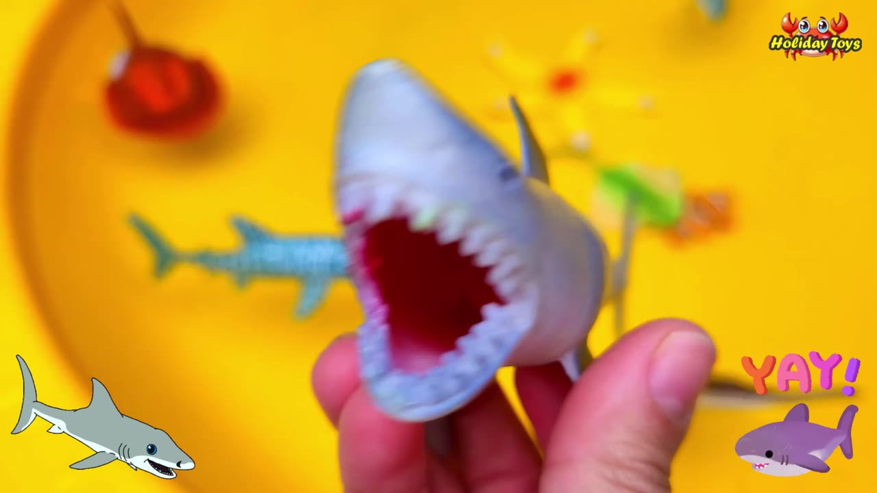 Covering Hermit Crabs with Sand to Camouflage During the Day