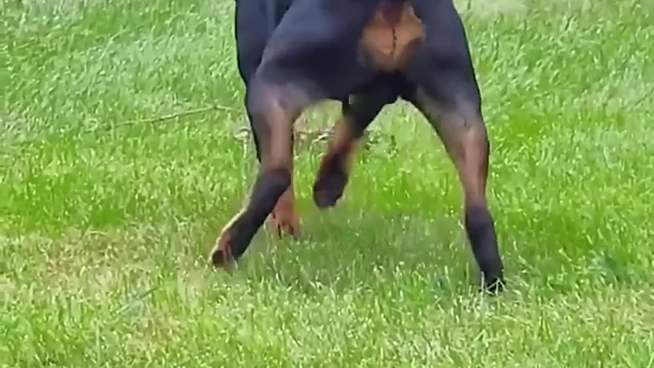 Funny9
