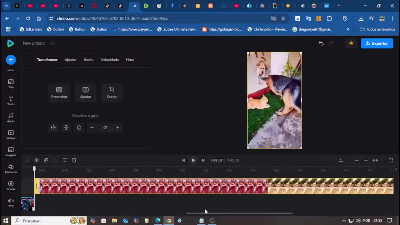 Cópia de Transmissão ao vivo de short cute videos memes engraçados.mp4