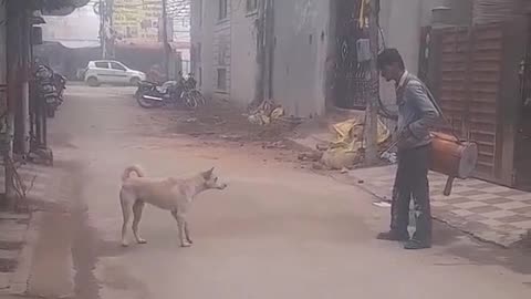 Viral