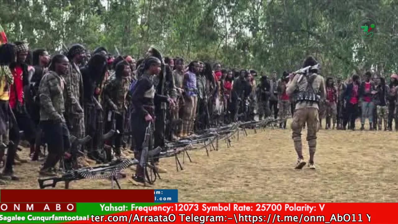 Gabaasa Tarkaanfii ONM-ABO Adoolessa 30-2025 itti dhiyaadhaa!