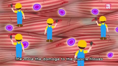 Viral: How your Muscles Grow? - The Dr. Binocs Show | BEST LEARNING VIDEOS For