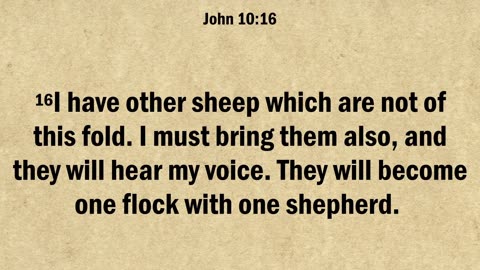 John 10