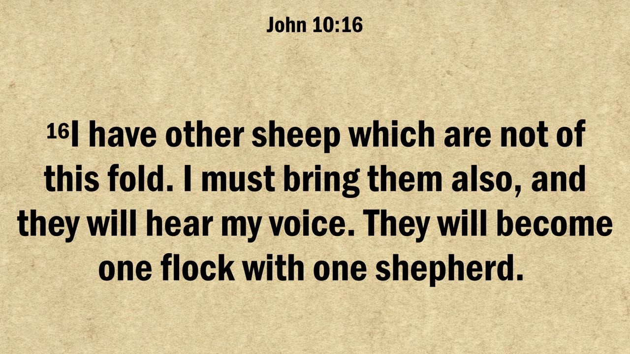 John 10