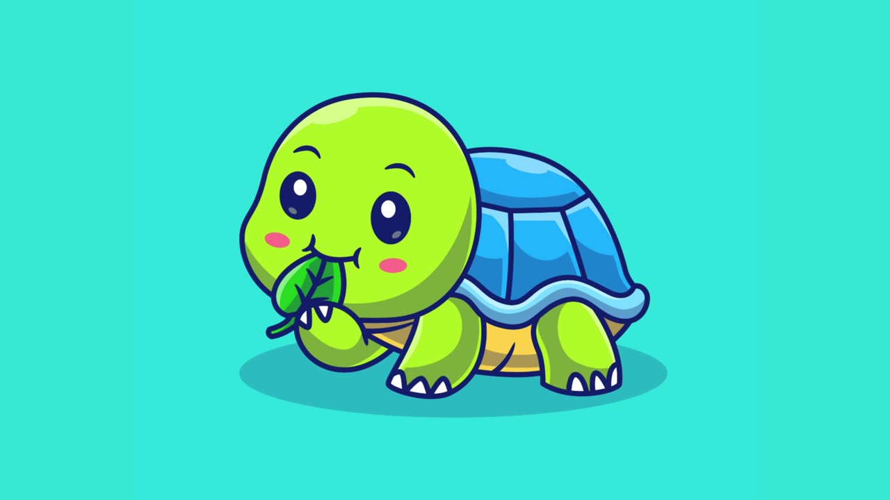 Turtle2