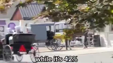 "The Amish basically have no obesity, no infertility, no cancer, no diabetes."
