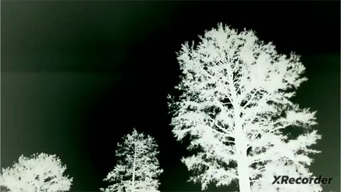 Negative, lightning
