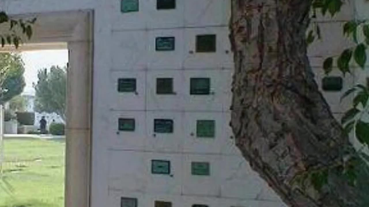 GUN LAWS IN ACTION - VOL. 504: THE MURDER OF RICHARD KALLMAN