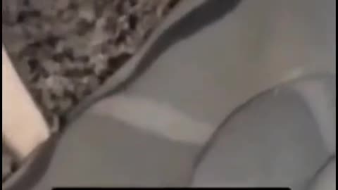 💀🐕 Skinwalker Possessed Dog Terrifies Everyone! Paranormal Horror | TheHauntingHour