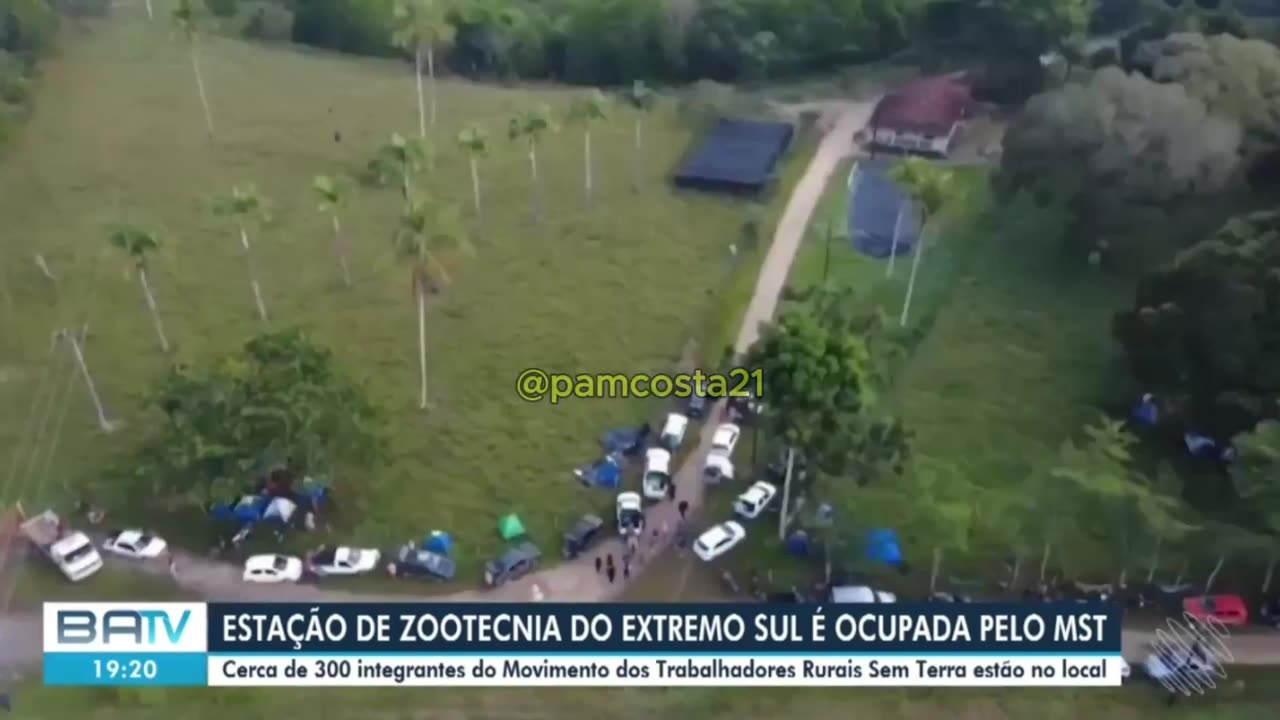 MST o caos planejado!