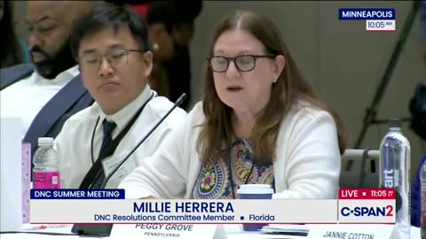 Dem Delivers Diatribe Against Alligator Alcatraz At DNC Meeting
