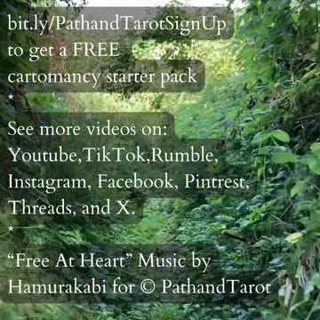 Reflect On Your Emotions | Path and Tarot Reading