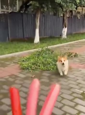 When one jerk is not enough 🤣