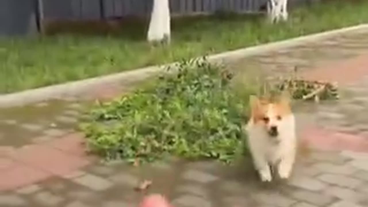 When one jerk is not enough 🤣