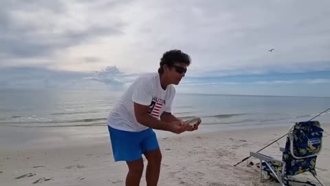 Fishing with Shrimp in the Sea – Rod Under Pressure & Dolphin Surprise
