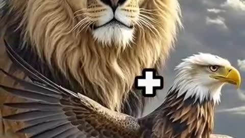 Incredible Animal Fusion