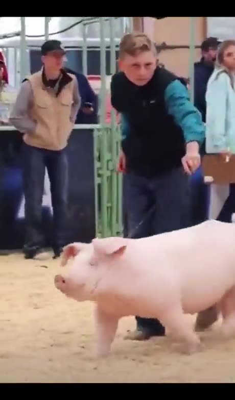 Walking with your mom