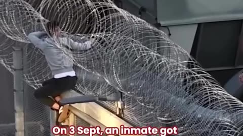 🤣🔒 Prison Escape Fail That Will Shock You! | FunFM