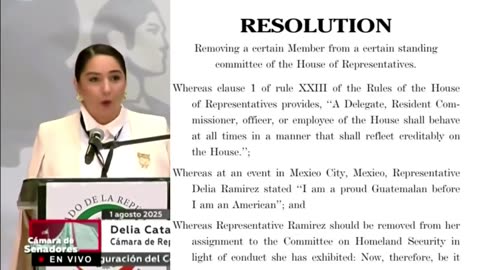 🚨 BREAKING: Resolution just filed to REMOVE Rep Delia Ramirez from Homeland Security Committee