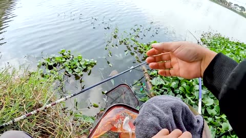Trout Lure Fishing in Stream Gravel Beds