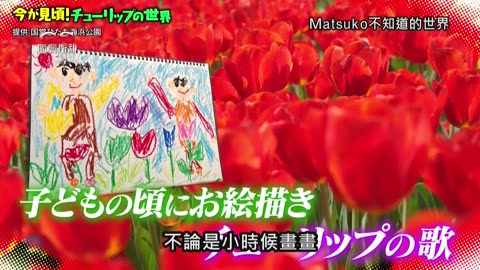 20250523_Matsuko不知道的世界-司康&鬱金香