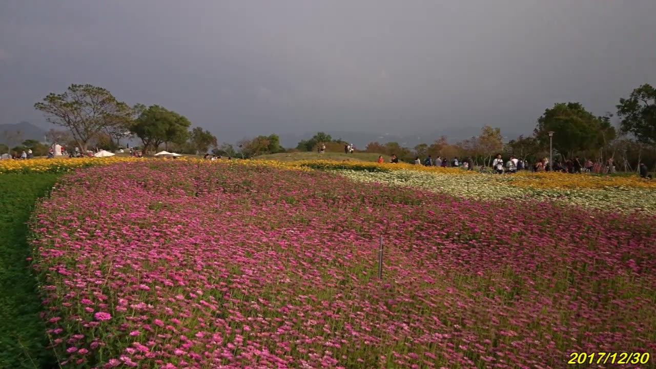 18_0107 Vivaldi 4 Seasons-Spring