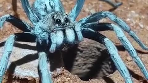 🤩😂 Absolutely Gorgeous... But | FunFM