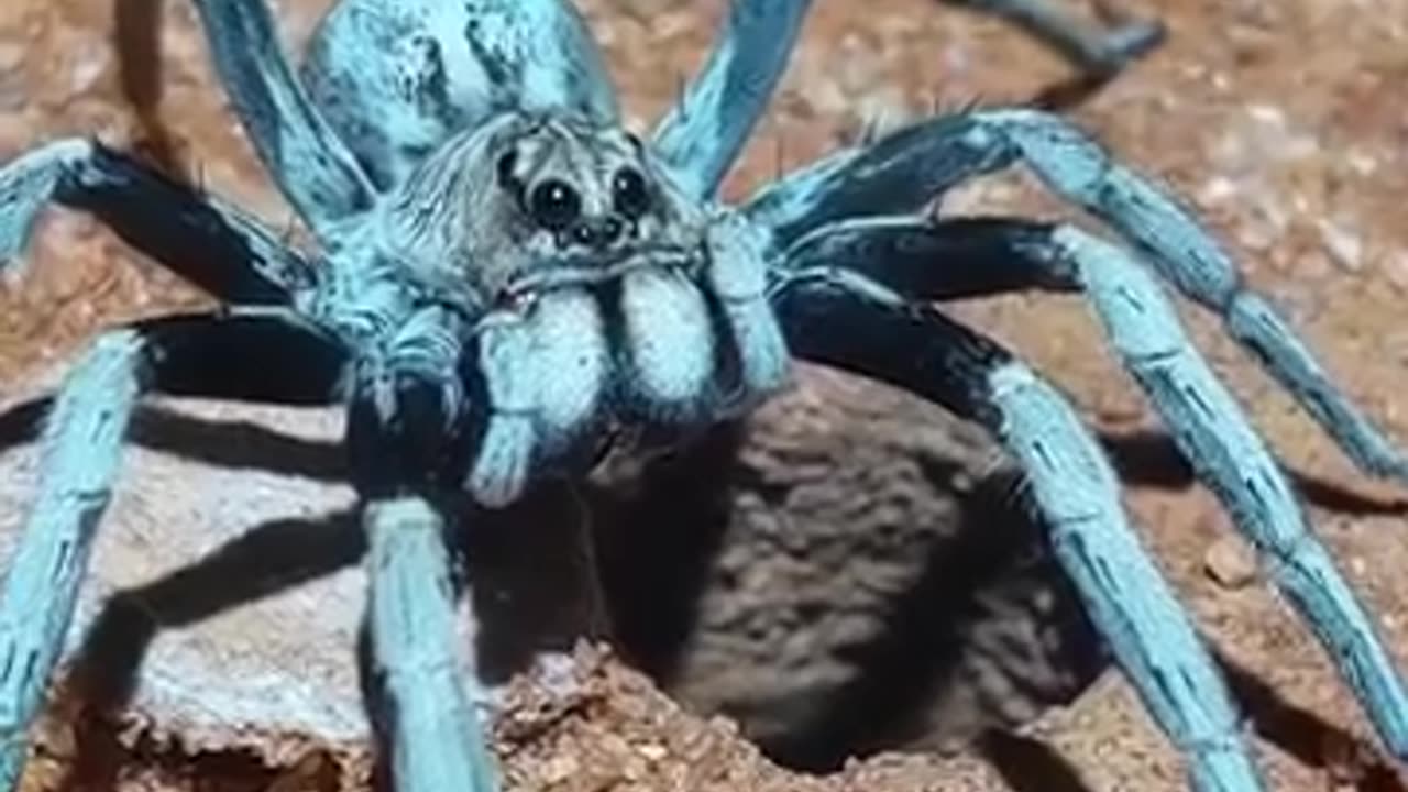 🤩😂 Absolutely Gorgeous... But | FunFM