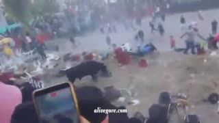 An Angry Bull Injured 30 People At A Festival In Ayacucho, Peru