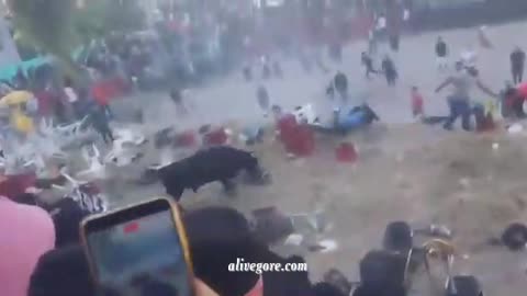 An Angry Bull Injured 30 People At A Festival In Ayacucho, Peru