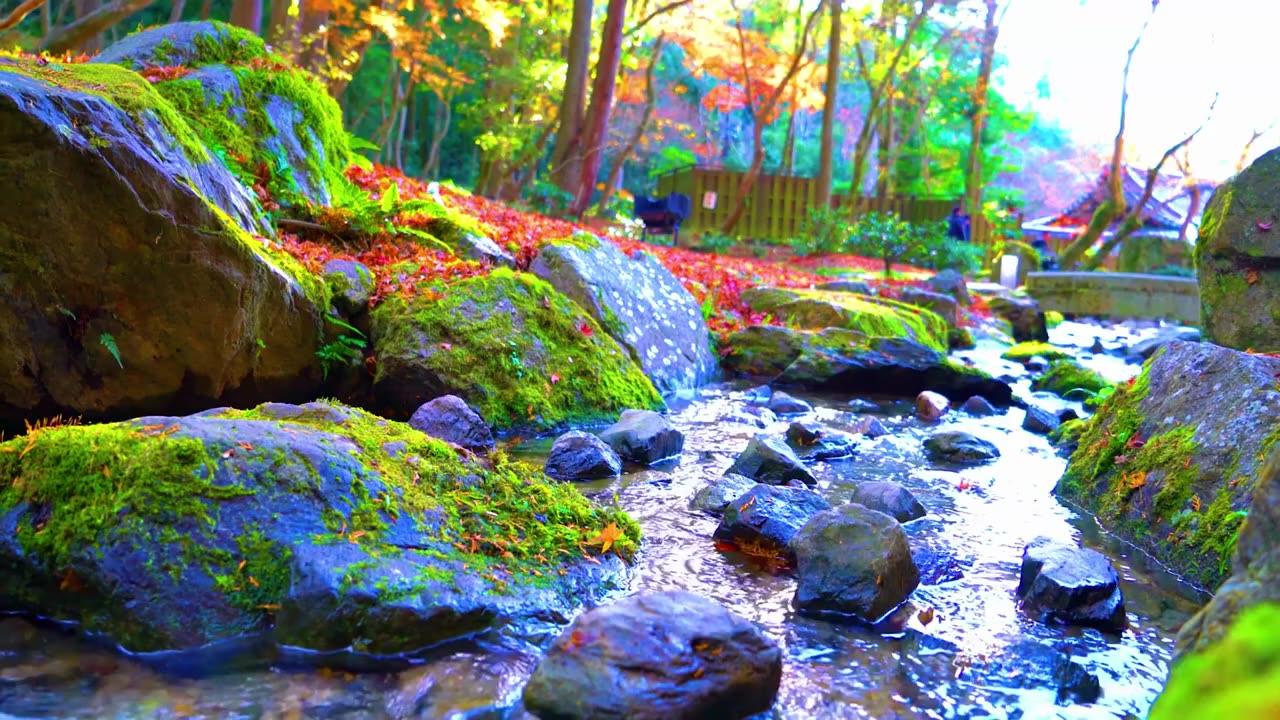 QH HDR Japan Beautiful Landscapes Live Footage Compilation 2025