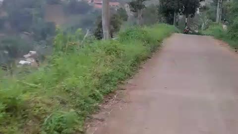 Motorcycle Ride Through Forest Trails and Hills
