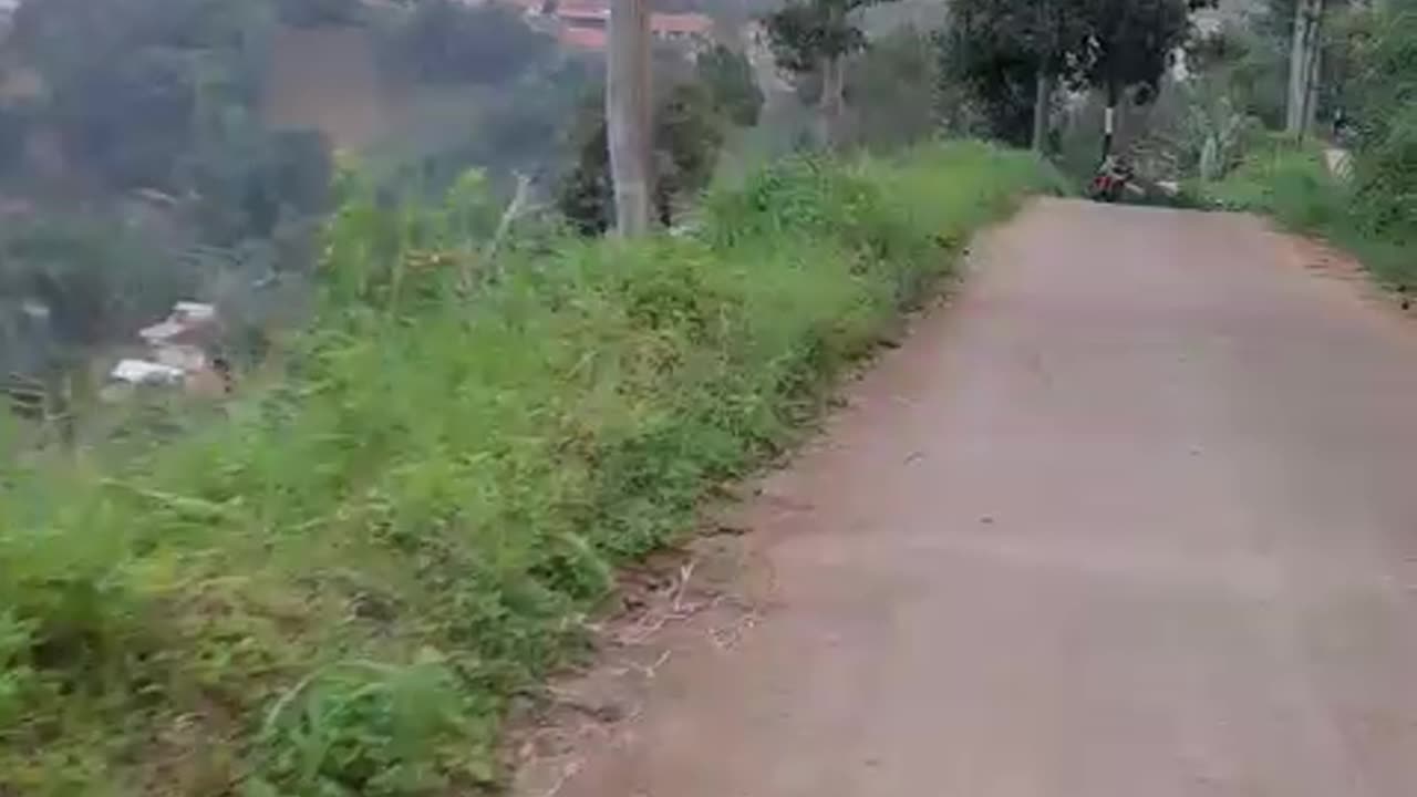 Motorcycle Ride Through Forest Trails and Hills