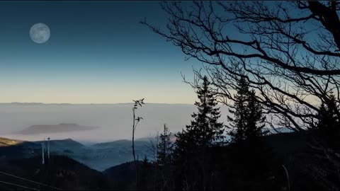 FULL MOON VIDEO HD