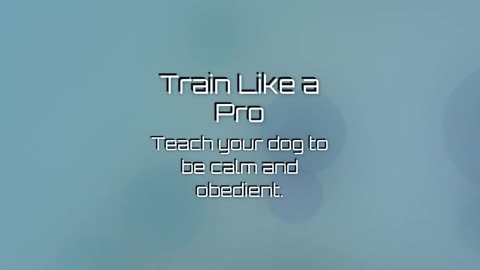 Learn the Secret Methods that Service Dog Trainers use to housebreak dogs in under 2 Weeks