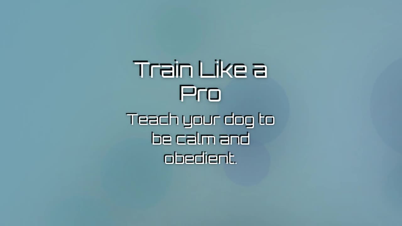 Learn the Secret Methods that Service Dog Trainers use to housebreak dogs in under 2 Weeks