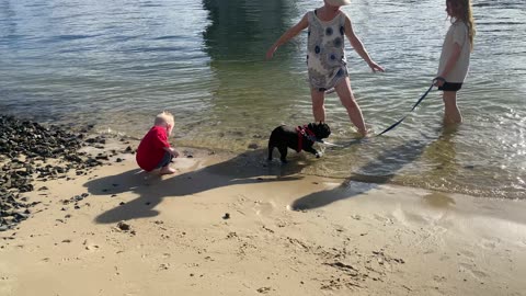 Toddler’s Playful Learning at Budds Beach: Mastering Movement Through Repetition
